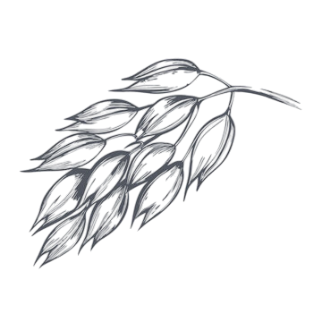 360 f 1288037383 jmhx0v8bjhfieqkewi8xut94pkyzghxb photoroom