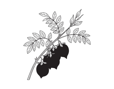 360 f 1561028776 eqacstvhn9uhgw46sl9pnmbkvsq8xewu photoroom