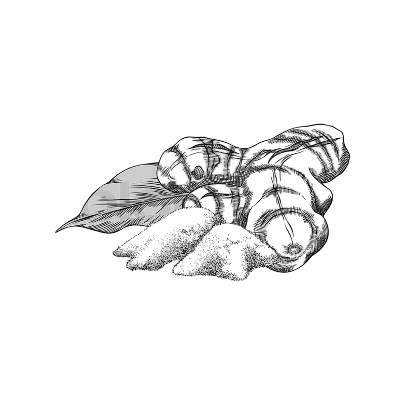 colourbox66985760 photoroom