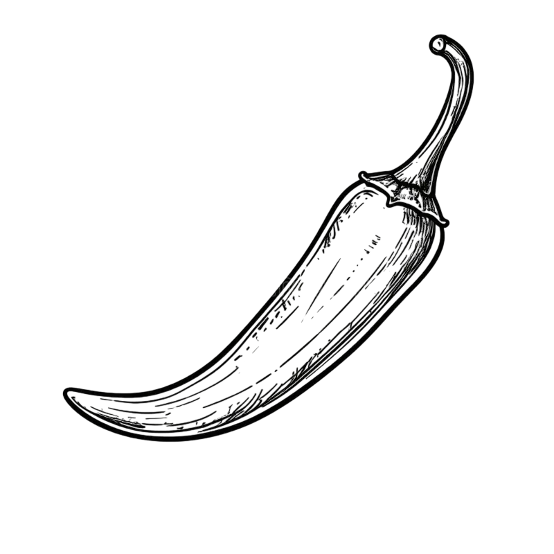 line art drawing single chili pepper 385257901 photoroom