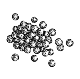 vegan lentils hand drawn red 260nw 2400986523 photoroom