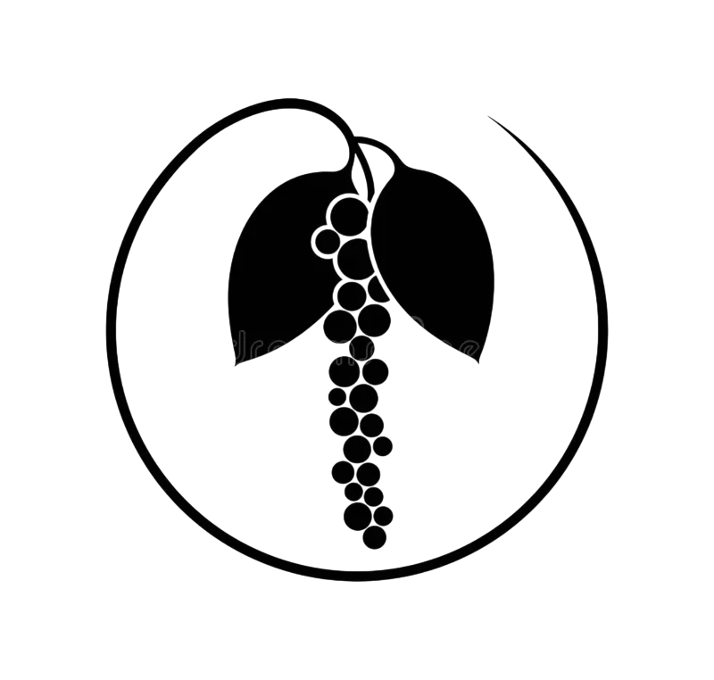 web 354808150 photoroom